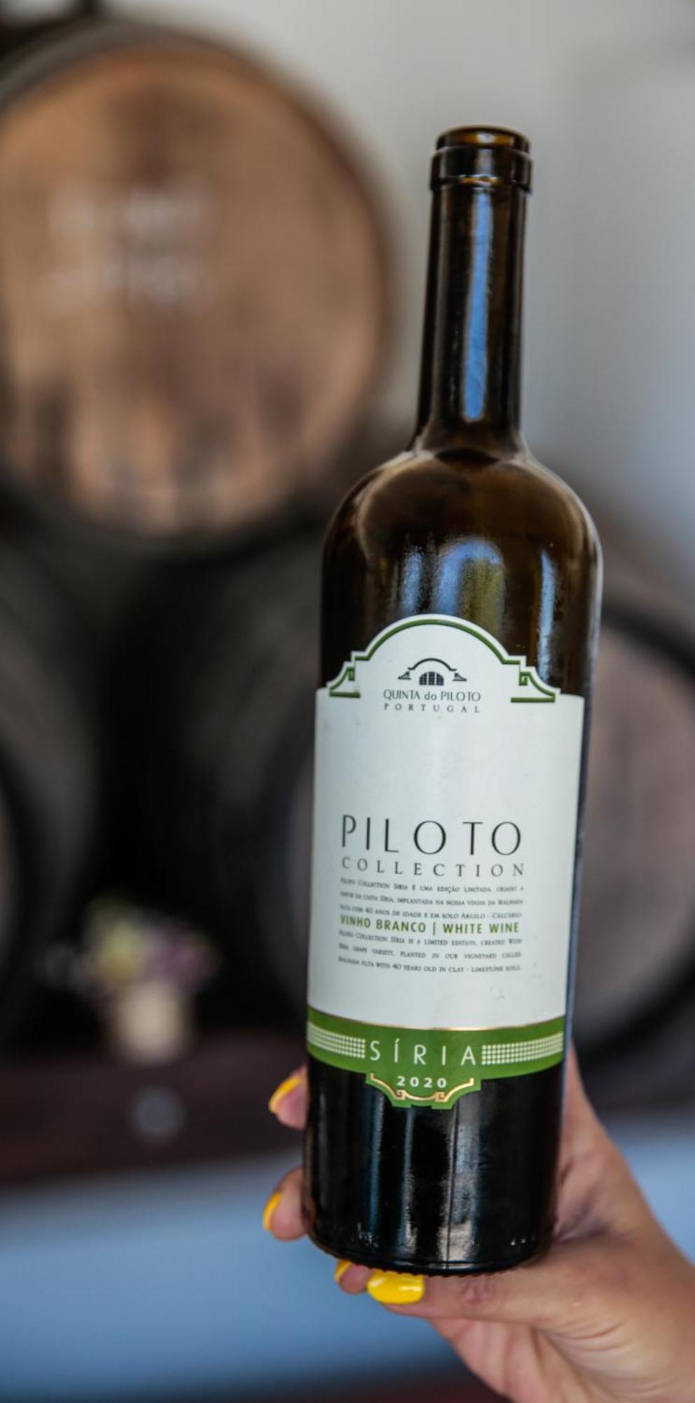 Quinta Do Piloto ξενώνας Palmela Εξωτερικό φωτογραφία