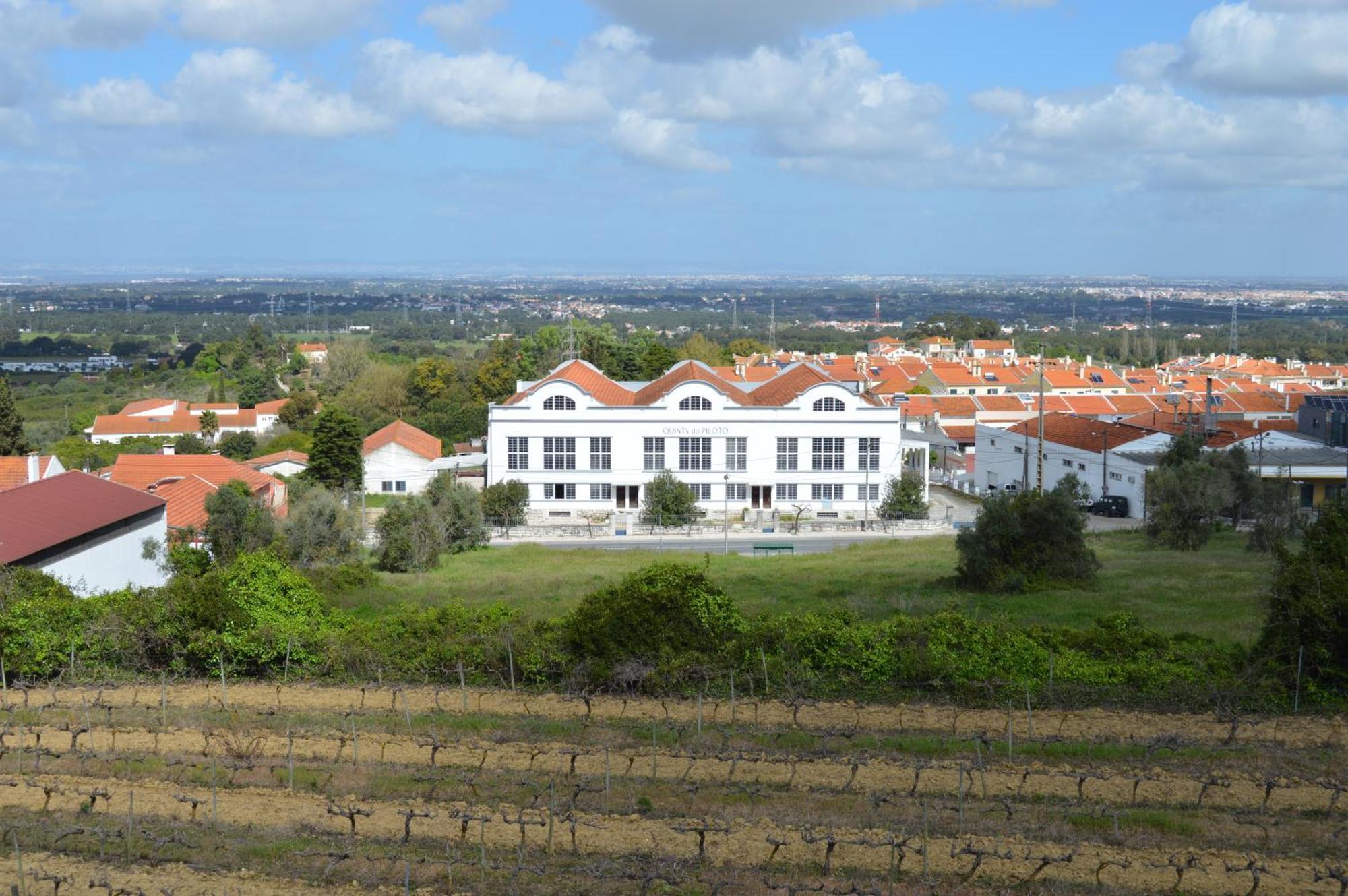 Quinta Do Piloto ξενώνας Palmela Εξωτερικό φωτογραφία